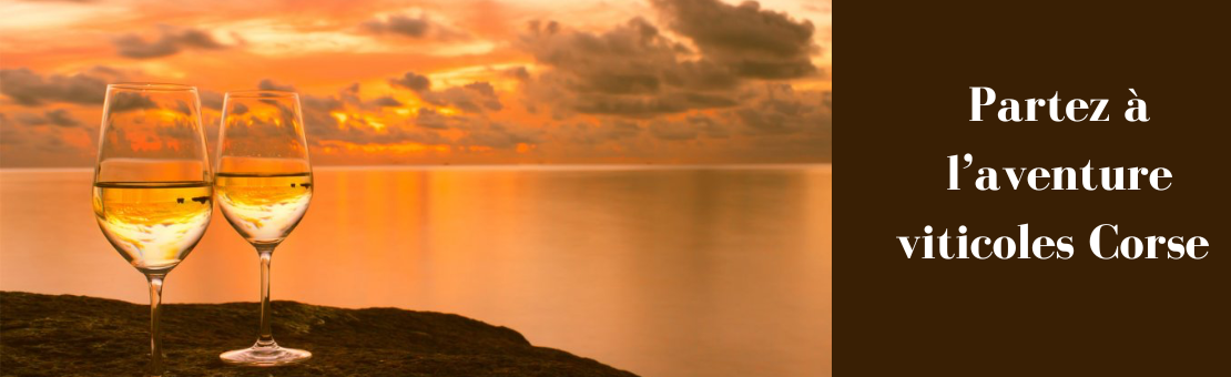 Venez découvrir notre formule oenotouristique, avec des circuits complets des vignobles Corse